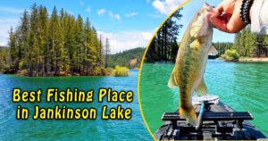 Read more about the article 5 Best Fishing Place in Jankinson Lake for an Exciting Experience