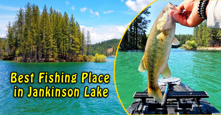 Best Fishing Place in Jankinson Lake