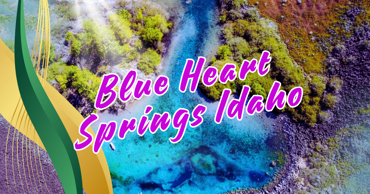 You are currently viewing 7 Incredible Reasons to Visit Blue Heart Springs Idaho: A Must-See Hidden Paradise