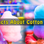 Cotton Candy and Candy Floss