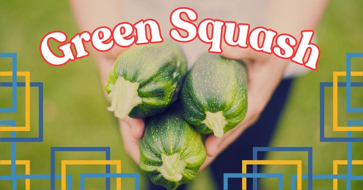 Read more about the article 10 Incredible Health Benefits of Green Squash You Can’t Ignore!