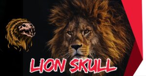 Read more about the article 5 Fascinating Facts About Lion Skulls You Didn’t Know