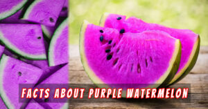 Read more about the article 7 Astonishing Facts About Purple Watermelon You Need to Know