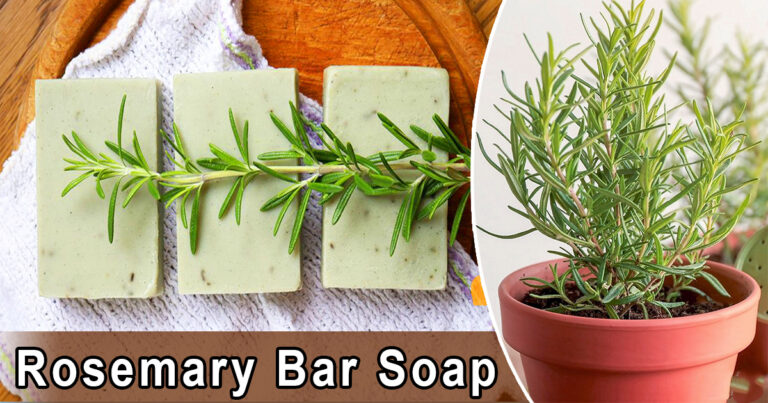 Rosemary Bar Soap Benefits