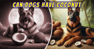 Read more about the article Can Dogs Have Coconut? Discover 5 Incredible Benefits for Your Pet!