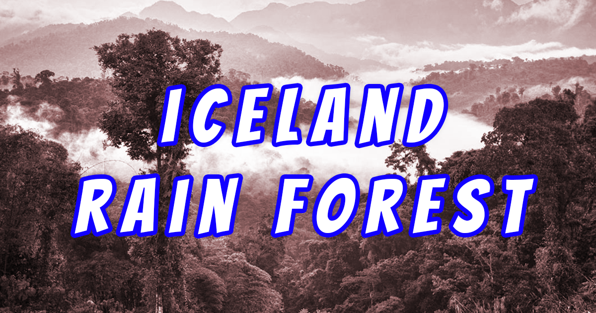 You are currently viewing 7 Shocking Truths About Iceland Rain Forests You Need to Know