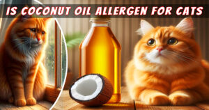 Read more about the article Is Coconut Oil Allergen for Cats? Expert Advices to Keep Your Feline Safe