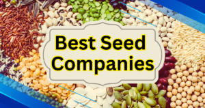 Read more about the article 5 Best Seed Companies for Home Gardeners and Farmers: How to Choose the Right One