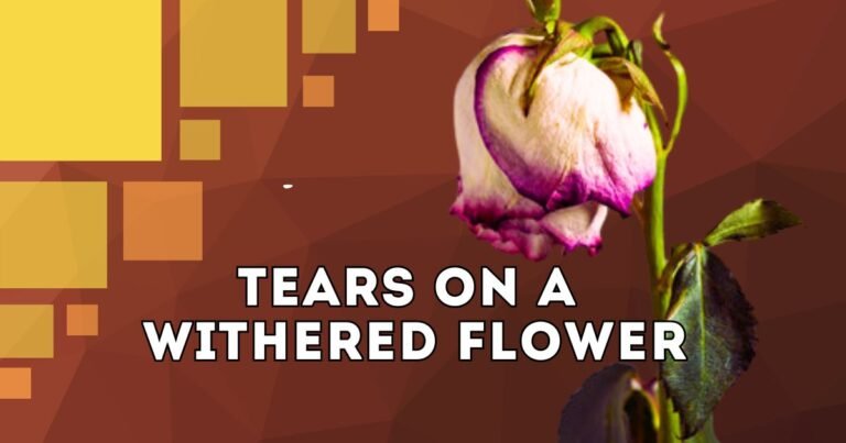 tears on a withered flower