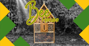 bee house