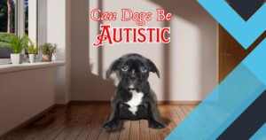 Read more about the article The Shocking Answer: Can Dogs Be Autistic? 6 Must-Know Facts