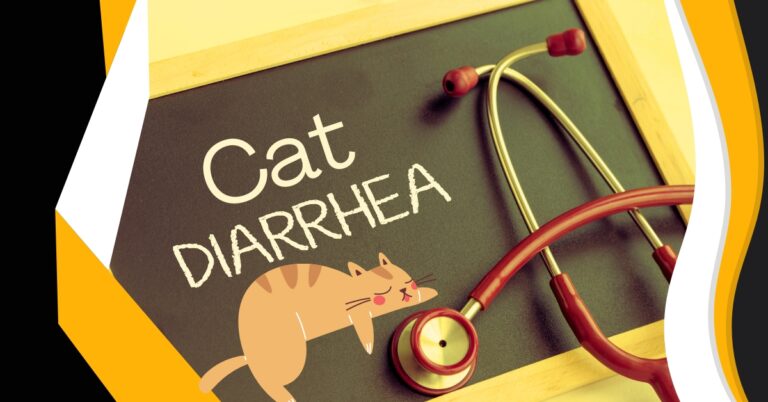 Cat diarrhea