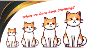 Read more about the article When Do Cats Stop Growing? 8 Expert Tips to Ensure Healthy Feline Growth