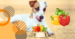 Read more about the article Can Dogs Eat Bell Peppers? 7 Essential Facts Every Dog Owner Should Know