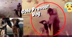 Read more about the article 10 Fascinating Facts About Cole Prevost Dog: The Story Behind This Social Media Sensation