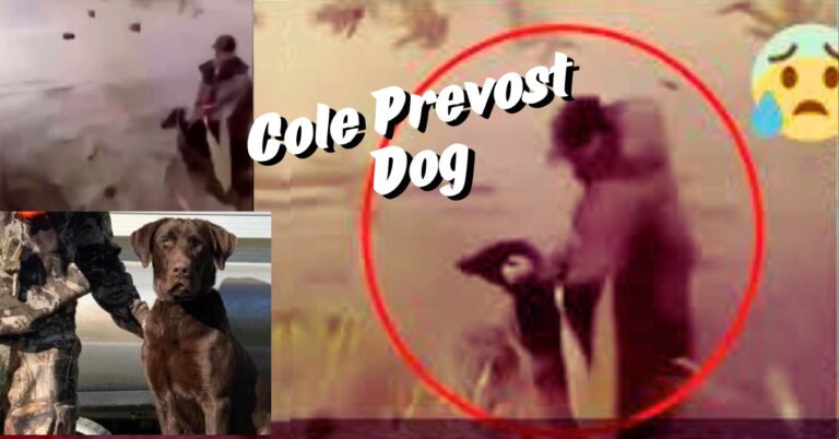 cole prevost dog